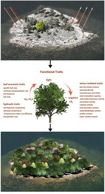 Editorial: Trait-Based Plant Community Assembly, Ecological Restoration, and the Biocontrol of Invasive Exotic Plant Species